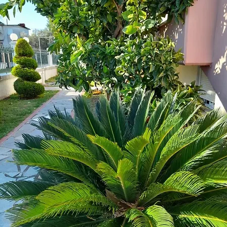 Appartement Meandros Village