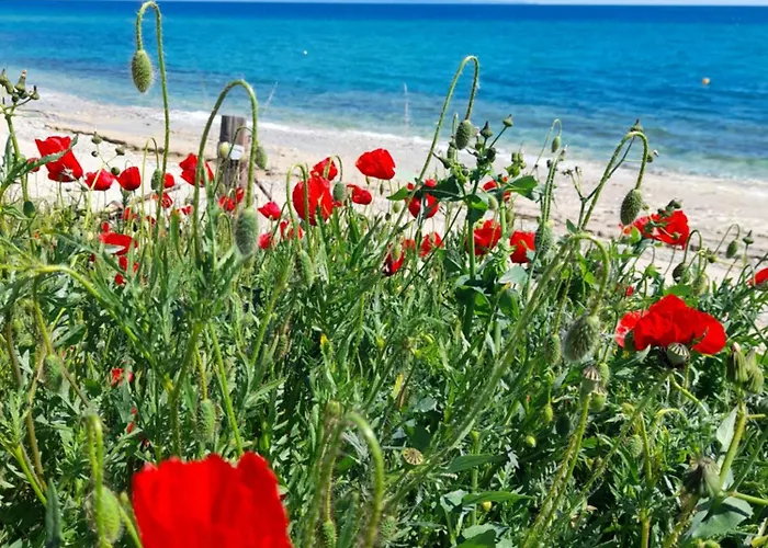 Meandros Village